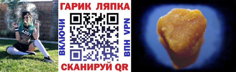 ГАШ Premium  Котово 