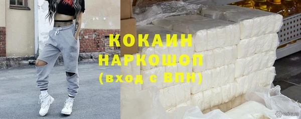 индика Абаза