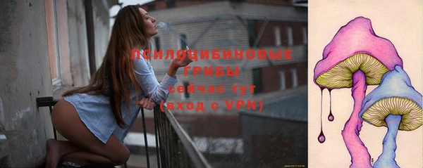 индика Абаза