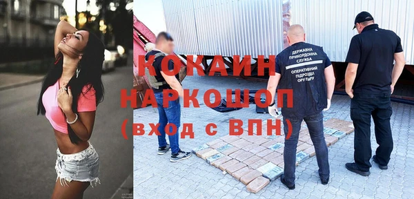 стаф Абинск