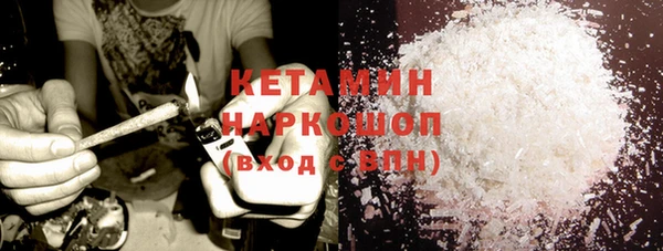индика Абаза