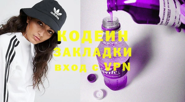 индика Абаза