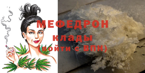 индика Абаза