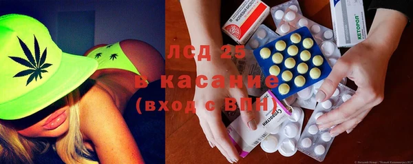 индика Абаза