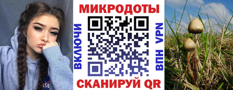 Псилоцибиновые грибы Magic Shrooms  Котово 